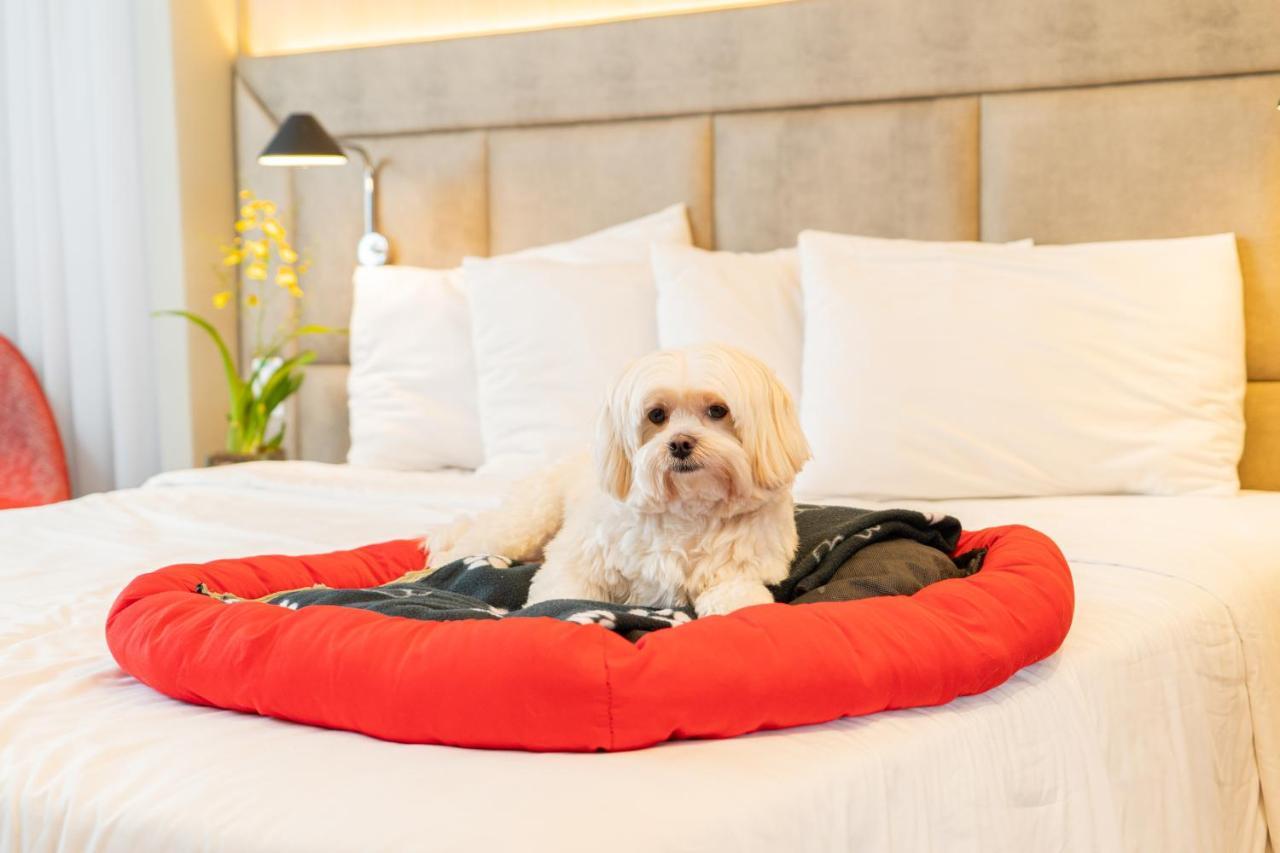 Mercure Sao Paulo Jardins Extérieur photo